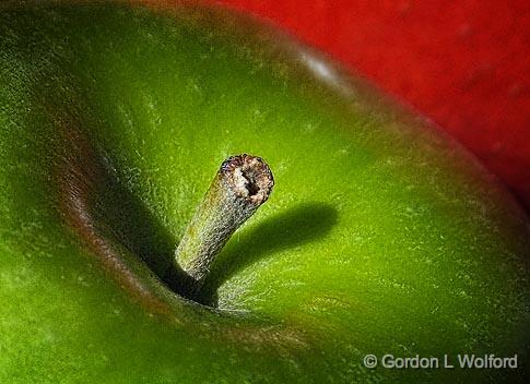 Apple Closeup_DSCF01092.jpg - Photographed at Smiths Falls, Ontario, Canada.